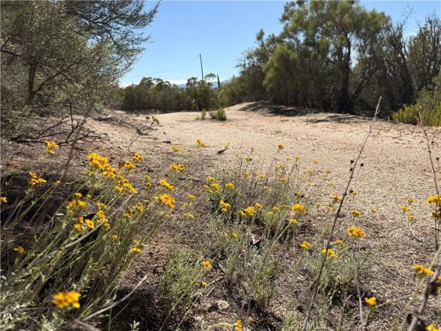 0 Cruces, Warner Springs, CA 92086