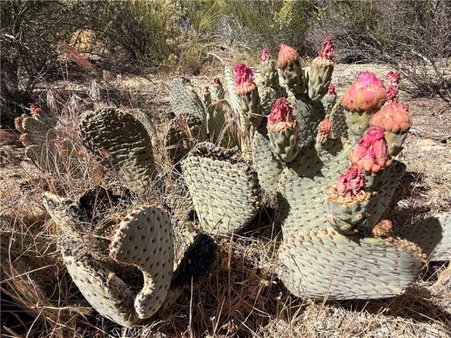 0 Cruces, Warner Springs, CA 92086