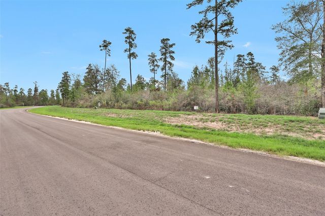 168 Great Plains Way, New Waverly, TX 77358