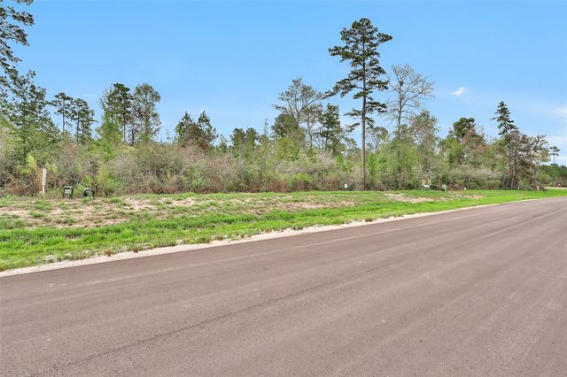 168 Great Plains Way, New Waverly, TX 77358