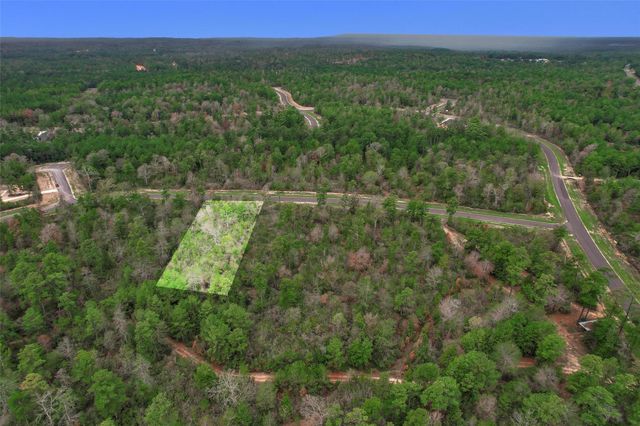 168 Great Plains Way, New Waverly, TX 77358
