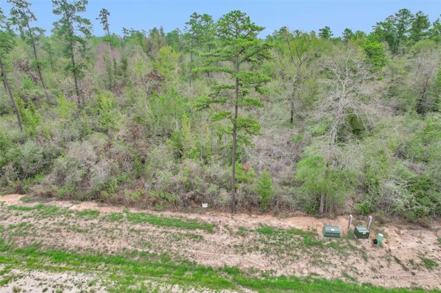 168 Great Plains Way, New Waverly, TX 77358