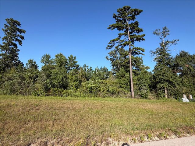 168 Great Plains Way, New Waverly, TX 77358