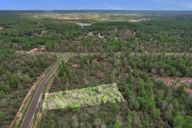 168 Great Plains Way, New Waverly, TX 77358