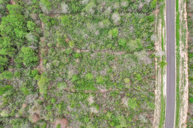 168 Great Plains Way, New Waverly, TX 77358