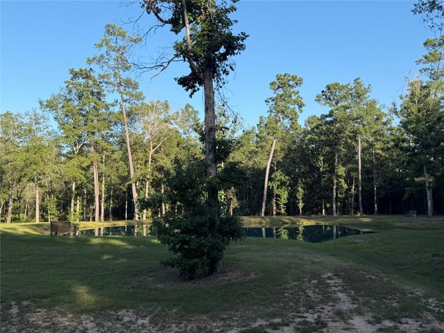 168 Great Plains Way, New Waverly, TX 77358