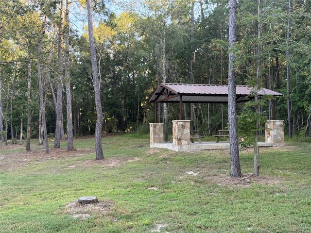 168 Great Plains Way, New Waverly, TX 77358