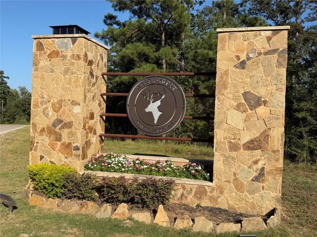 168 Great Plains Way, New Waverly, TX 77358