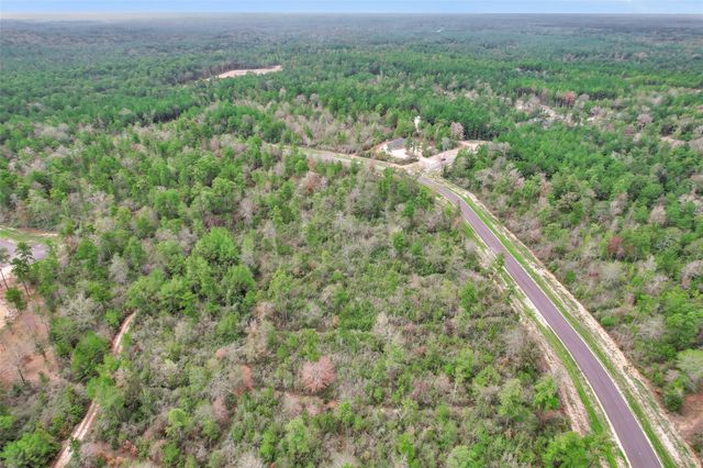 168 Great Plains Way, New Waverly, TX 77358