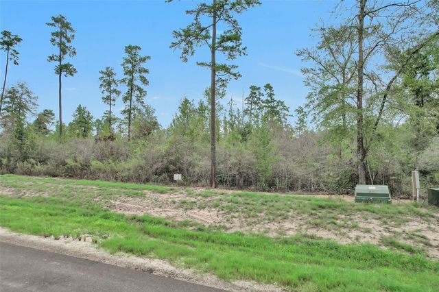 168 Great Plains Way, New Waverly, TX 77358