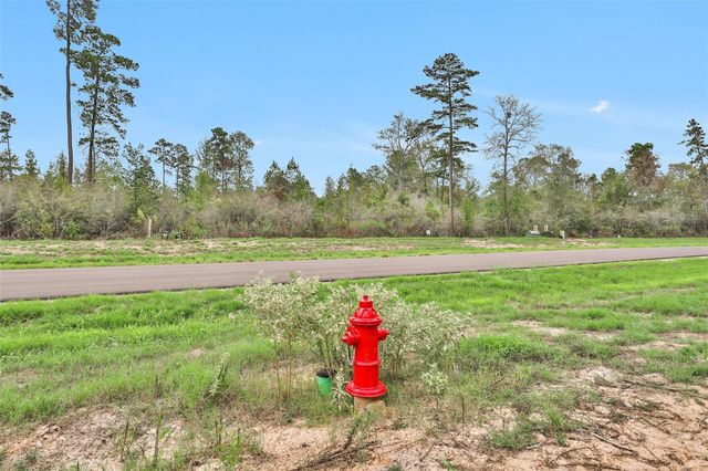 168 Great Plains Way, New Waverly, TX 77358