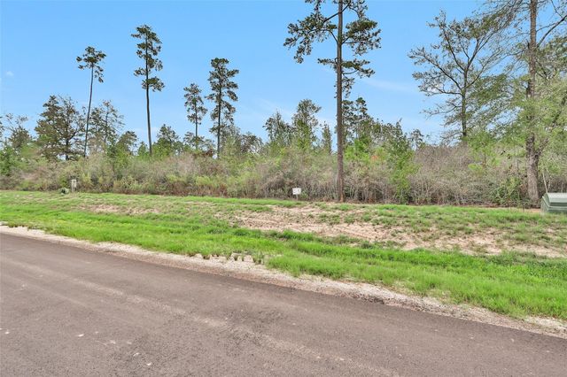 168 Great Plains Way, New Waverly, TX 77358