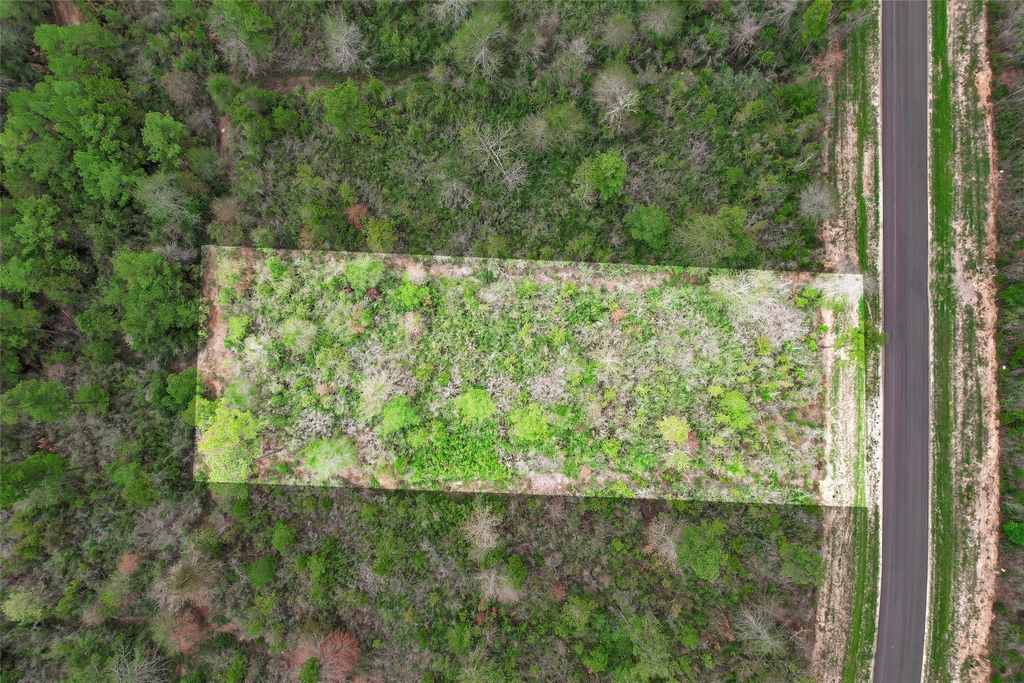 168 Great Plains Way, New Waverly, TX 77358