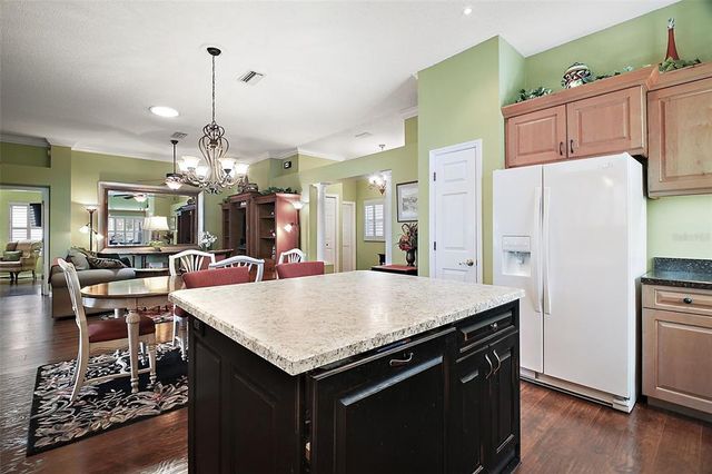 215 CHULA VISTA AVENUE, The Villages, FL 32159