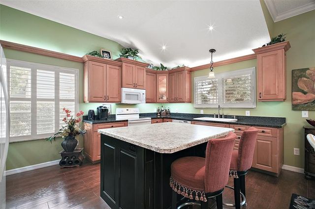215 CHULA VISTA AVENUE, The Villages, FL 32159