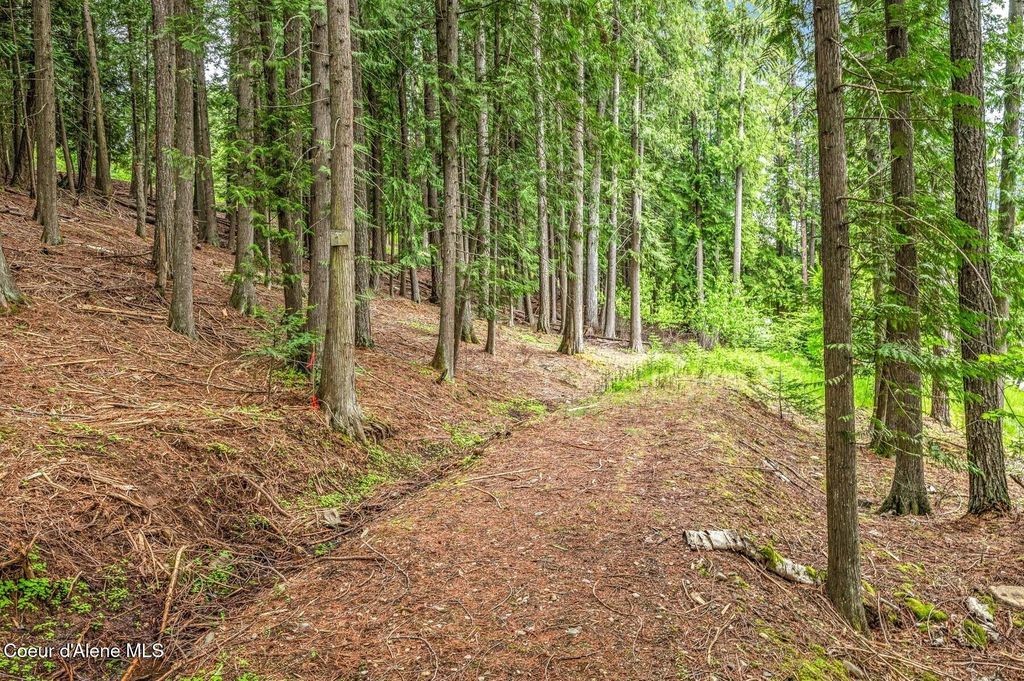 130 Cedar Shoals, Sagle, ID 83860 photo 47