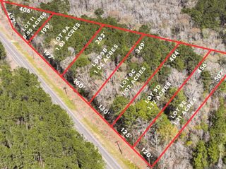 Lot 9E La Hwy 42, Livingston, LA 70754