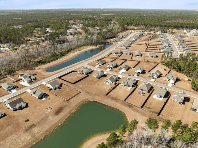 502 Misty Bluff Circle, Huger, SC 29450