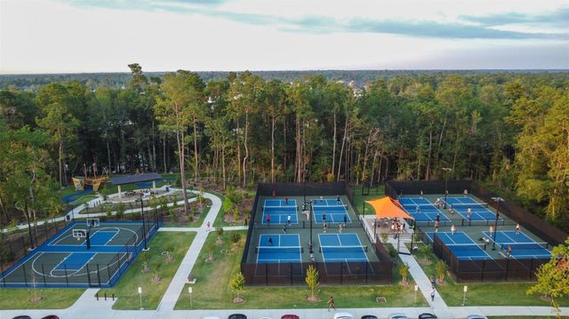 28220 Cedar Peak Drive, Spring, TX 77386