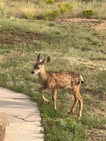 5 Estrella De La Manana, Santa Fe, NM 87508