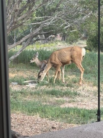 5 Estrella De La Manana, Santa Fe, NM 87508