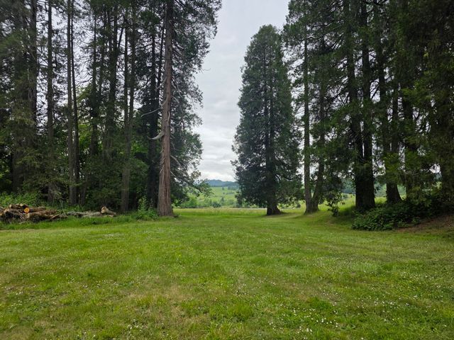 4340 State Hwy 38, Drain, OR 97435