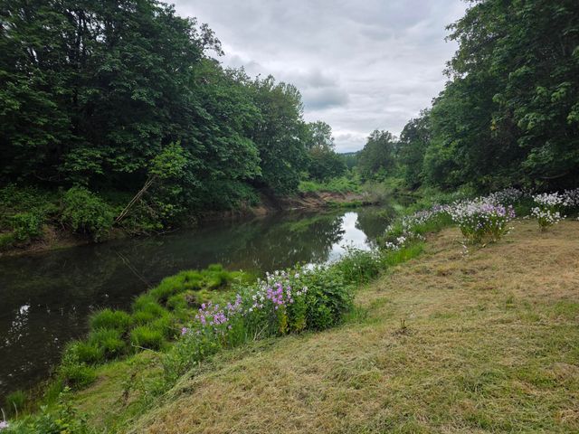 4340 State Hwy 38, Drain, OR 97435