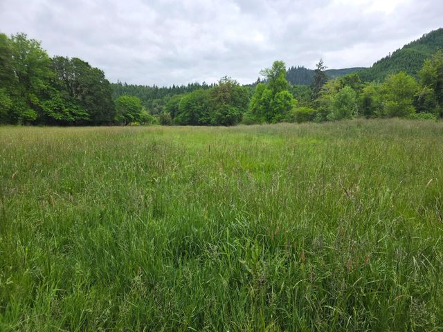 4340 State Hwy 38, Drain, OR 97435