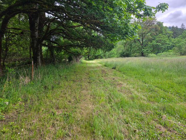 4340 State Hwy 38, Drain, OR 97435