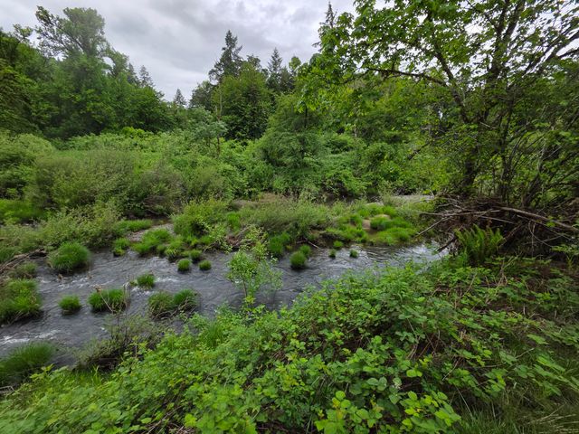 4340 State Hwy 38, Drain, OR 97435