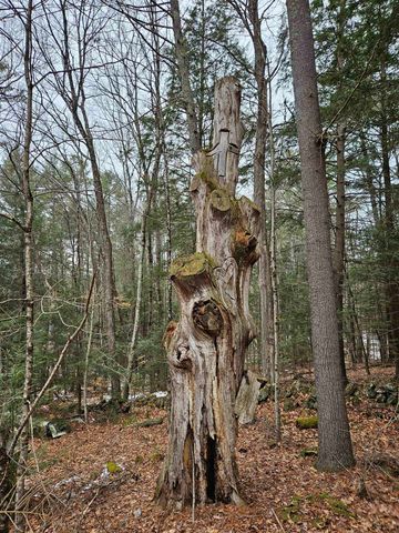 234 Old Cheshire Turnpike, Walpole, NH 03608