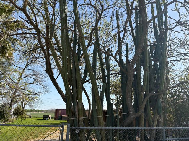 525 W Prine Drive, Tulare, CA 93274