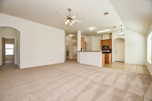 24515 Colonial Birch Lane, Katy, TX 77493