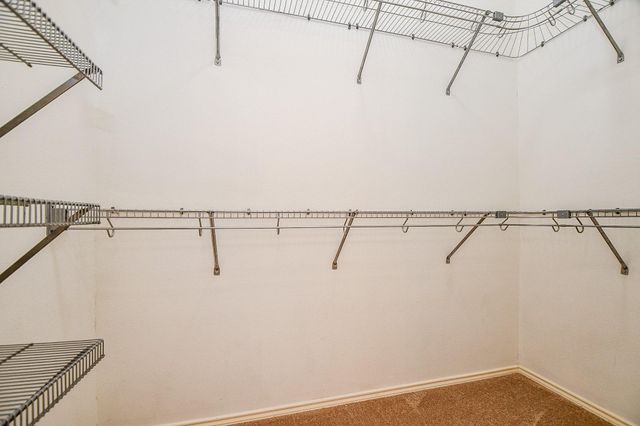 24515 Colonial Birch Lane, Katy, TX 77493