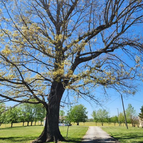 4315 Highway 43, N, Ethridge, TN 38456