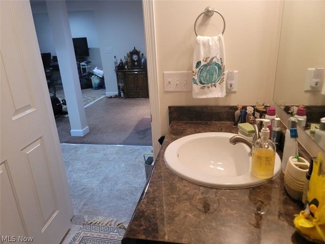 3343 Gated Court, Avon, OH 44011