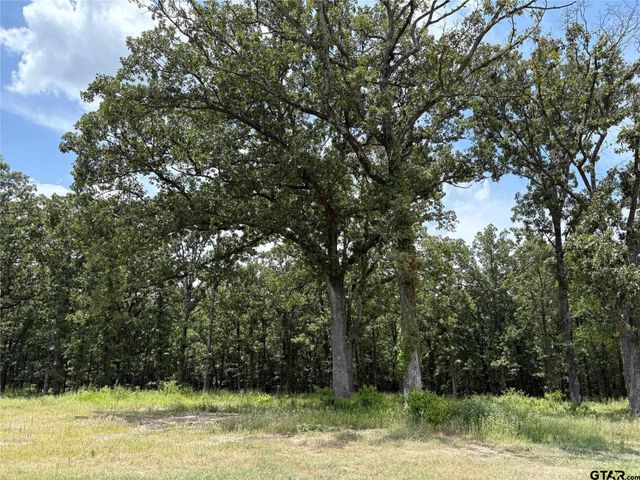 Lot 22 Private Road 5948, Yantis, TX 75497