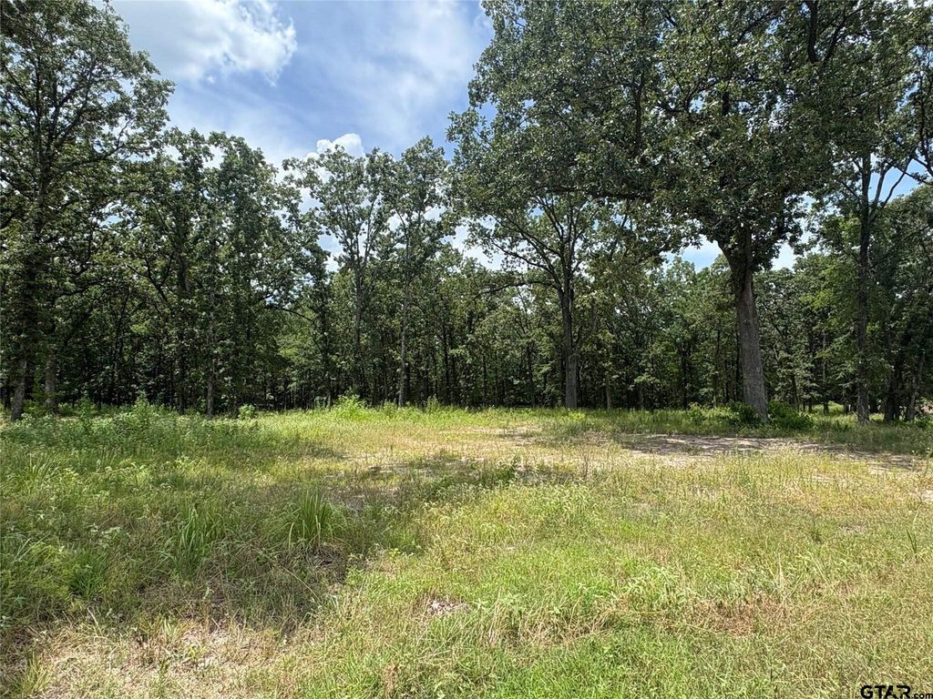 Lot 22 Private Road 5948, Yantis, TX 75497