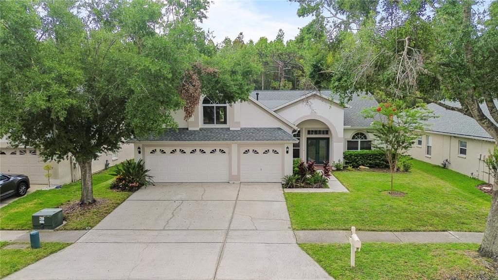 10217 TIMBERLAND POINT DRIVE, Tampa, FL 33647