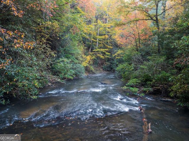 456 Whispering Pine Lane, Cherry Log, GA 30522