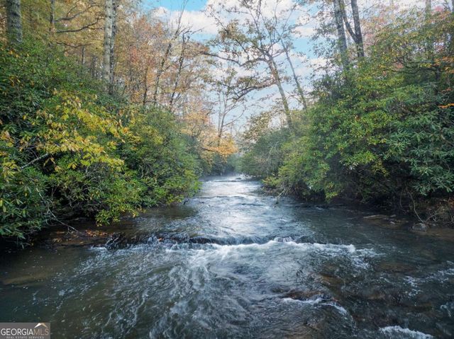 456 Whispering Pine Lane, Cherry Log, GA 30522