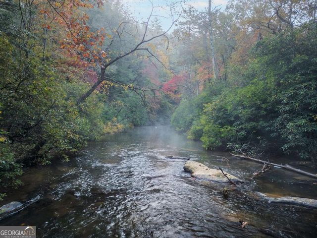 456 Whispering Pine Lane, Cherry Log, GA 30522