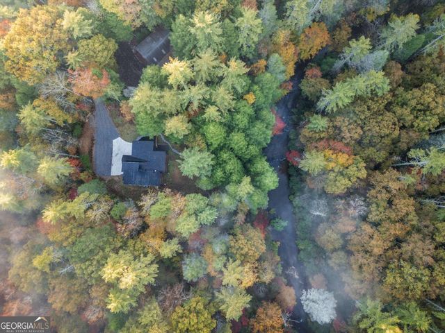 456 Whispering Pine Lane, Cherry Log, GA 30522