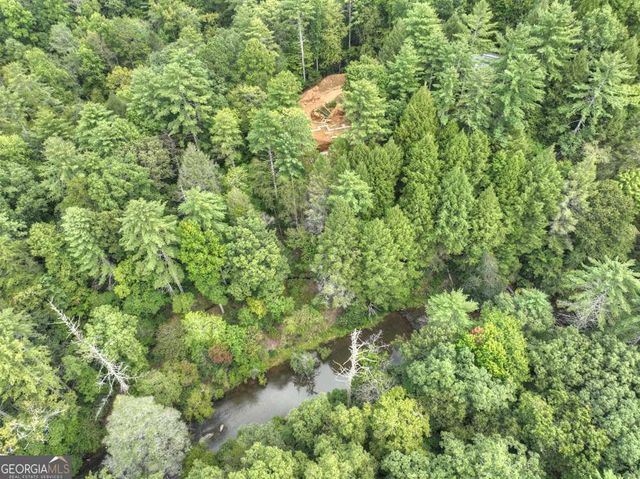 456 Whispering Pine Lane, Cherry Log, GA 30522