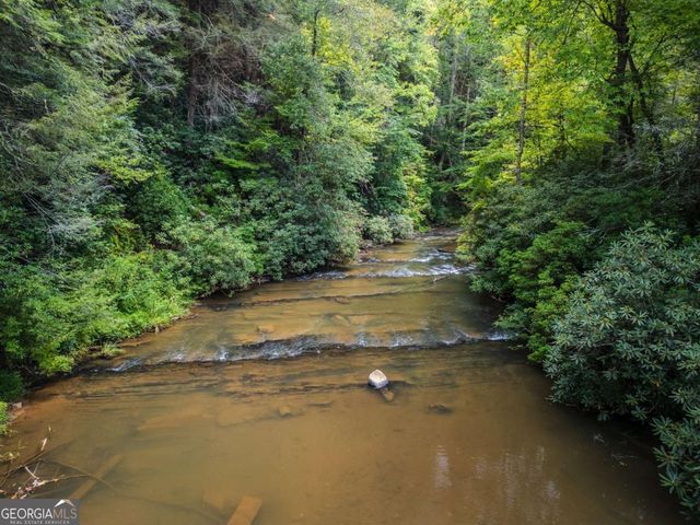 456 Whispering Pine Lane, Cherry Log, GA 30522