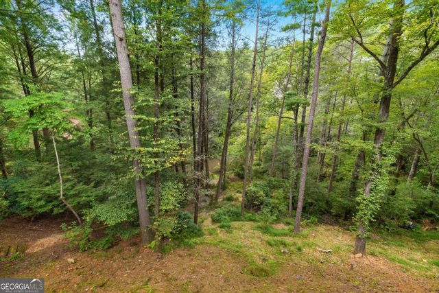 456 Whispering Pine Lane, Cherry Log, GA 30522