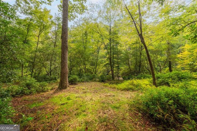 456 Whispering Pine Lane, Cherry Log, GA 30522