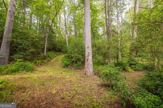 456 Whispering Pine Lane, Cherry Log, GA 30522