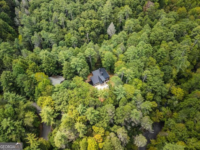 456 Whispering Pine Lane, Cherry Log, GA 30522