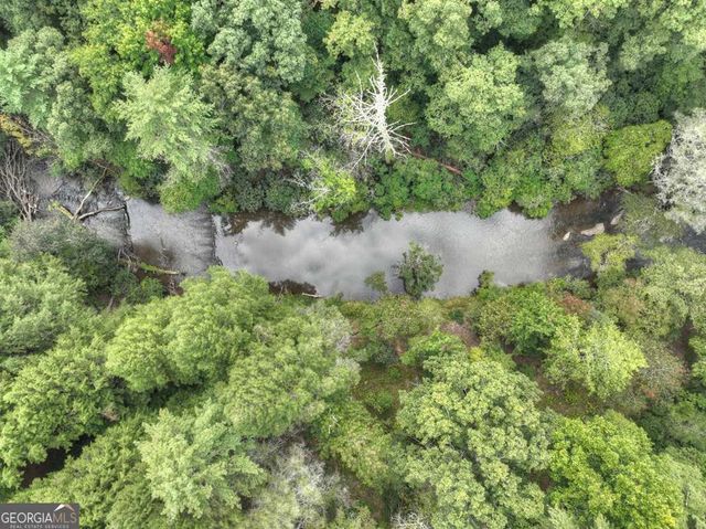 456 Whispering Pine Lane, Cherry Log, GA 30522